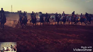 فرسان الرياينة دندنها