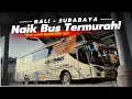 Lagu Ini Dia Rasanya Naik BUS TERMURAH di Rute Denpasar - Surabaya ‼️ Trip Bus Sapu Jagat