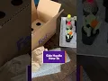 Side Hustle How-To Shipping Succulents