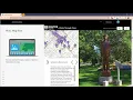Introduction to Story Map