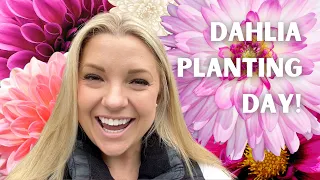 Download It's Dahlia Planting Day! 🌸🙌🏼🌿 ::  Planting Out My Dahlias in My Zone 9B Garden! MP3