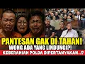 Lagu “PANTESAN GAK DITAHAN  !! ADA YANG LINDUNGI?! ROY–TIFA–RISMON LOLOS LAGI!”