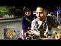 Download Lagu Gombalan bahasa muna