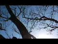 햇살 - 민채 Min Chae