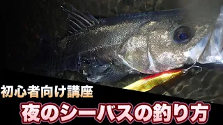【シーバス初心者向け講座】シーバス夜の狙い方と釣り方、行動パターン解説！
