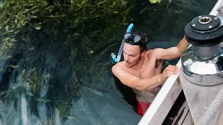 Stuck in the Weeds | Ep 14