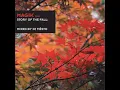 Trancestors