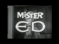 Mr Ed Theme