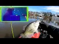 How to LiveScope - Step by Step MUST KNOW Technique