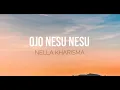 Download Lagu Nella Kharisma - Ojo Nesu Nesu (Lirik)