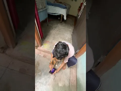 Ye billi kya kar rahi hai 😱🐈‍⬛😾