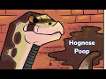 What Does Hognose Poop Look Like