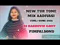 Download Lagu NEW TUR TONE MIX AADIVASI TIMLI SONG 2025 DJ RAGHUVIR GAVIT