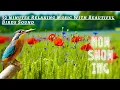 Download Lagu 30 minutes deep relaxing music with nature video and birds sound