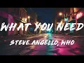 Steve Angello - What You Need (Lyrics)