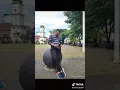 Download Lagu OM IMAM SBY TIKTOK GALAU 😖! CARI JODOH 😱!