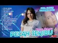 Download Lagu PECAH SERIBU HAPPY ASMARA - FULL ALBUM TERBARU ENAK DIDENGA SAAT SANTAI