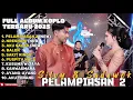 PELAMPIASAN 2 - SILVY KUMALASARI FEAT SADEWOK FULL ALBUM TERBARU DANGDUT KOPLO TERBARU 2025 