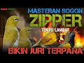 Download Lagu JERNIH MASTERAN SOGON MATERI ZIPPER WIT WIT TEMPO LAMBAT BIKIN JURI TERPANA
