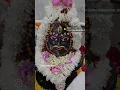 Download Lagu Mahadev Jatadhari Mahakal Tripurari 🕉🕉Har Har Mahadev #love #life #harharmahadev #shortvideo