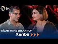 Download Lagu Dilan Top \u0026 Erkan Top - Xerîbê