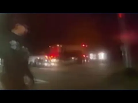 Redmond police respond to beaver in road