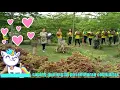 Download Lagu Caping gunung by senam paseduluran