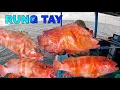 Download Lagu 743 ) RUNG TAY LUÔN CẢ NHÀ À, HƠN 1 THÁNG RỒI, NAY MỚI GẶP CHỖ CÁ.