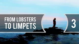 Sailing Around The World – From Lobsters to Limpets – Living With The Tide Ep 3