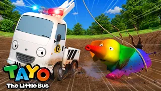 Misi Penyelamatan Gajah Warna-warni | Belajar Warna | Edukasi | Lagu Anak-anak | Tayo bus kecil