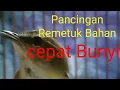 Lagu Pancingan Remetuk Laut agar Cepat Bunyi