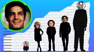 How Tall Is Peter Lupus - Height Comparison