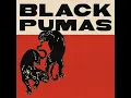 Colors - Black Pumas