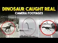 Lagu Mysterious Videos Of Dinosaur Caught On Camera | Real or Fake | Abdullah Tube