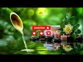 Relaxing Sleep Music + Bamboo Water Fountain 🌿 Meditation Music, Stress Relief Music, Calm the Mind
