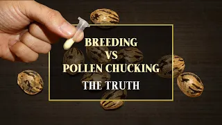 Seed Making Is NOT Breeding Here s What Real Breeders Actually Do