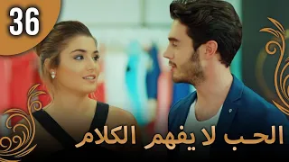 الحب لا يفهم الكلام الحلقة 36 