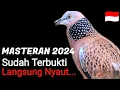 Download Lagu MASTERAN 2024 Sudah terbukti semua tekukur langsung NYAUT