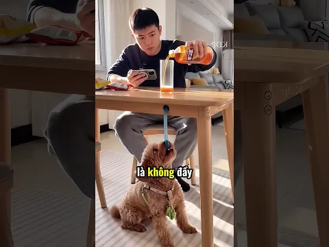 Lý do anh ấy rót mãi mà cốc vẫn chưa đầy 😂