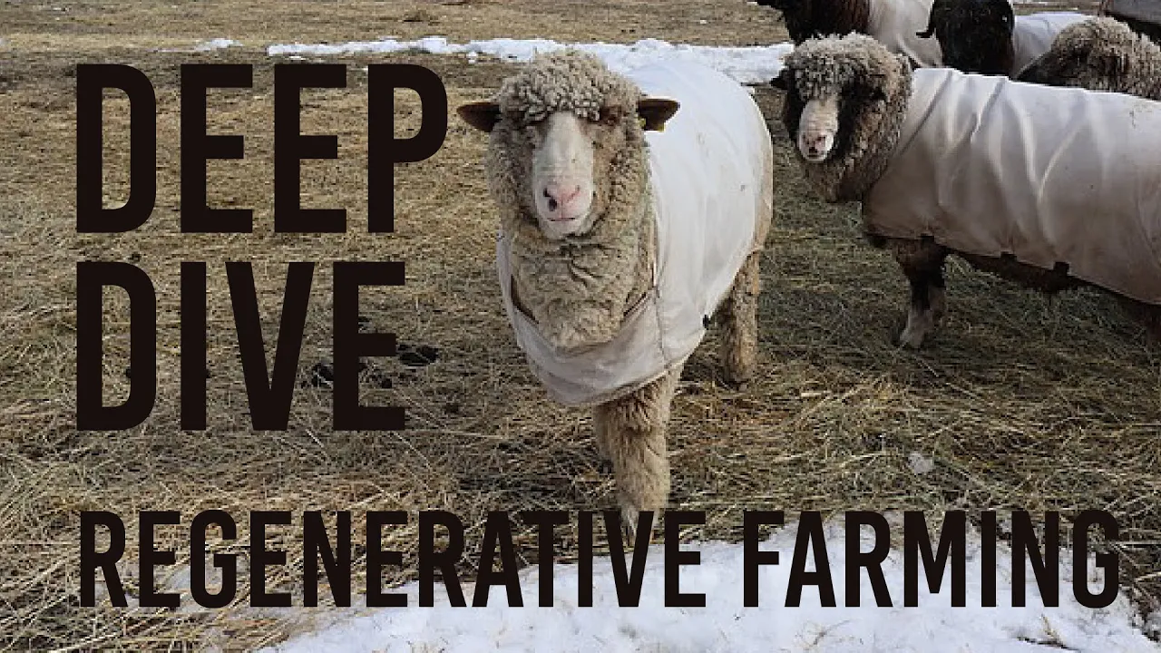 Deep Dive with Steitzhof Farm