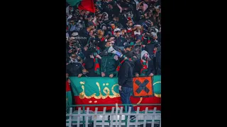 راو يضرب شرقي يا المولودية أولترا حب وعقلية 