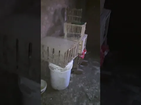 فيديو عند الحمام
