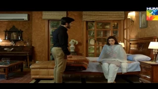 woh aik pal episode 20 hum tv drama 22 july 2017