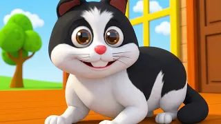 Meow Meow Billi Karti Meow | म्याऊं म्याऊं बिल्ली करती म्याऊँ | Cute Cat Song & Hindi Rhymes For Kid