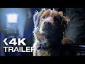Download Lagu GOOD BOY Official Trailer (2025)