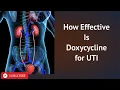 How Effective Is Doxycycline for UTI