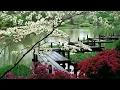 3 HOURS "Zen Garden" | Relaxing Music | Sleep Music for Spa, Meditation, Therapy