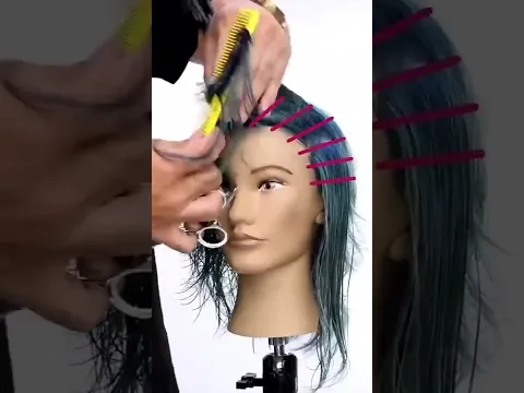 Modern Wolf Cut by a Pro