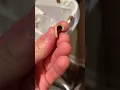Garbage Bag Clip