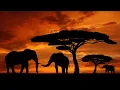 Download Lagu Izwe Lethu-Our Land (Zulu)